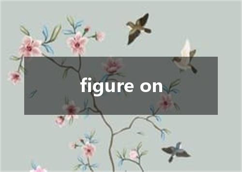 figure on是什么意思