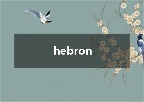 hebron是什么意思