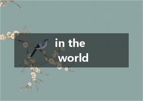 in the world是什么意思