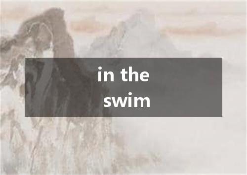 in the swim是什么意思