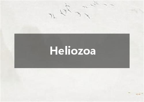 Heliozoa是什么意思