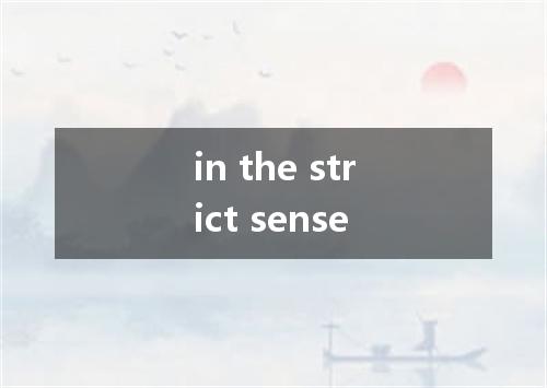 in the strict sense是什么意思