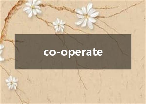co-operate是什么意思