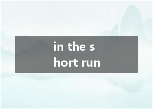in the short run是什么意思