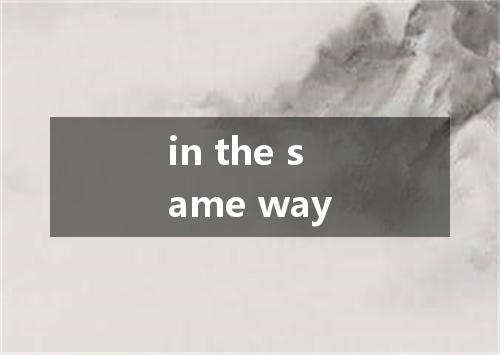 in the same way是什么意思