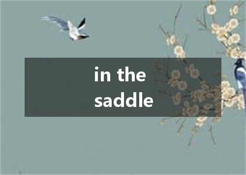 in the saddle是什么意思