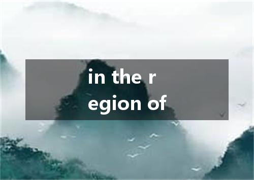 in the region of是什么意思