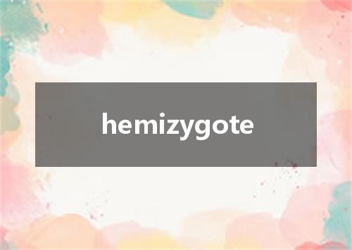 hemizygote是什么意思