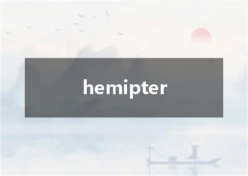 hemipter是什么意思