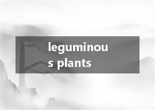 leguminous plants是什么意思