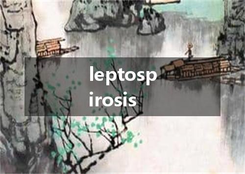 leptospirosis是什么意思