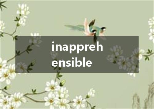 inapprehensible是什么意思