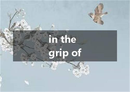 in the grip of是什么意思