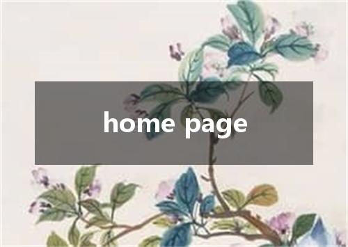 home page是什么意思