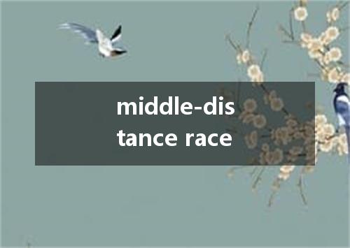 middle-distance race是什么意思