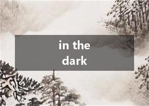 in the dark是什么意思