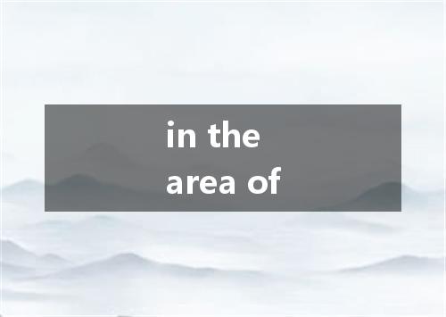 in the area of是什么意思
