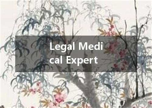 Legal Medical Expert是什么意思