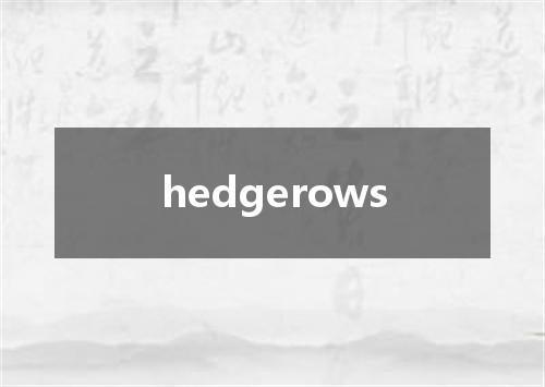 hedgerows是什么意思