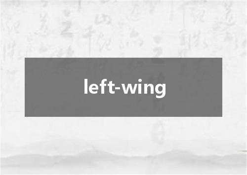 left-wing是什么意思