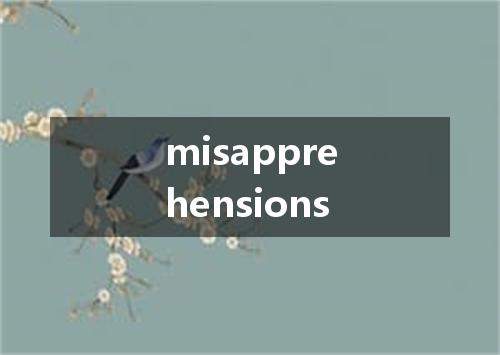 misapprehensions是什么意思