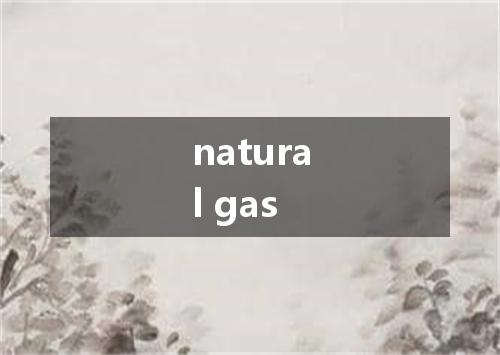 natural gas是什么意思