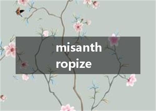 misanthropize是什么意思