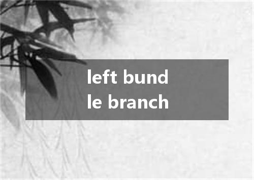 left bundle branch是什么意思