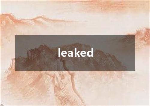 leaked是什么意思