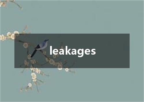 leakages是什么意思