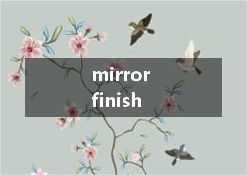 mirror finish是什么意思