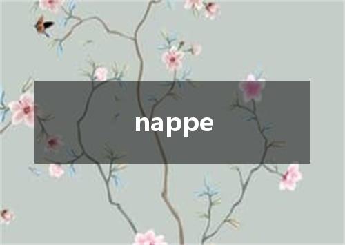 nappe是什么意思