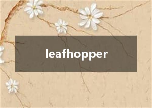 leafhopper是什么意思