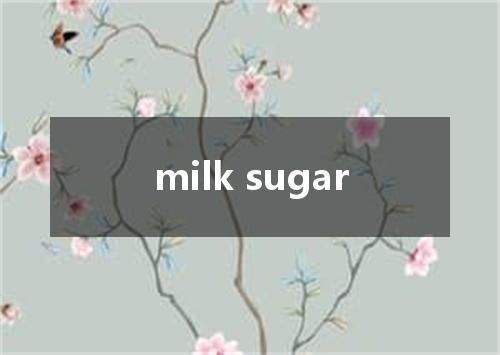milk sugar是什么意思