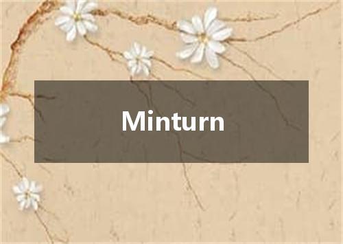 Minturn是什么意思