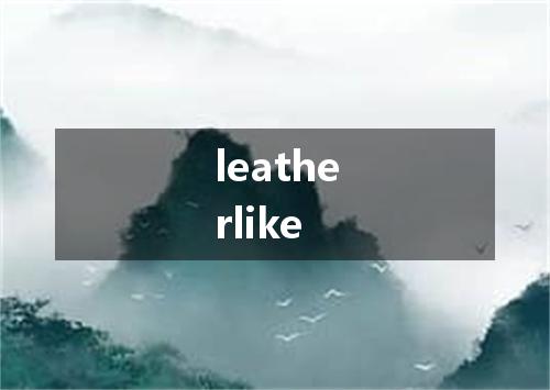leatherlike是什么意思