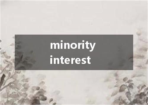 minority interest是什么意思
