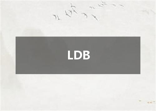 LDB是什么意思