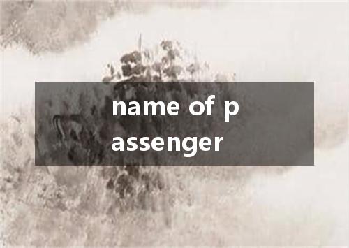 name of passenger是什么意思