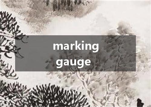marking gauge是什么意思