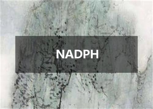 NADPH是什么意思