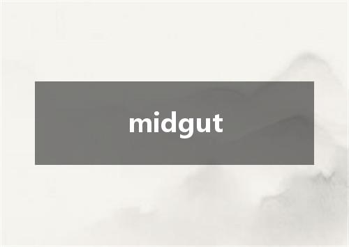 midgut是什么意思