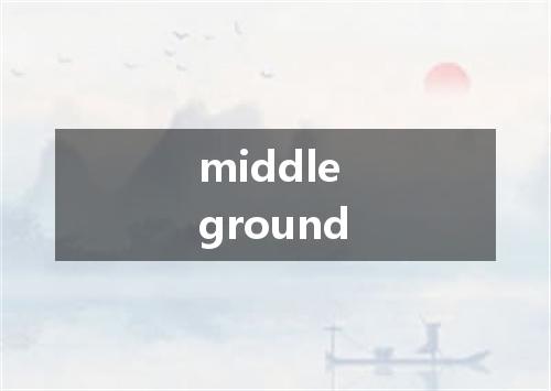 middle ground是什么意思