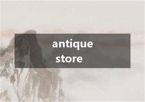 antique store是什么意思