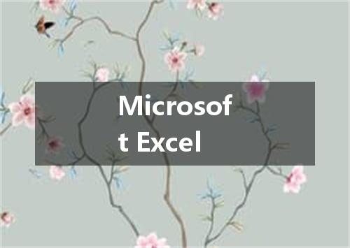 Microsoft Excel是什么意思