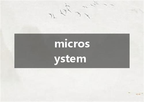 microsystem是什么意思
