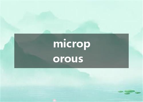 microporous是什么意思