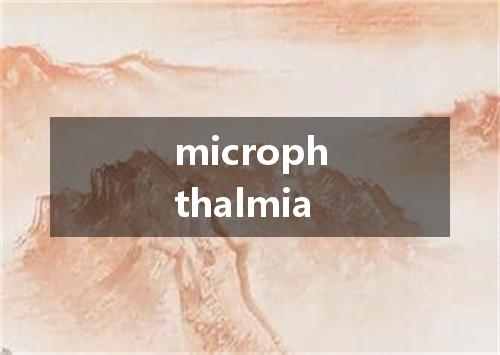microphthalmia是什么意思