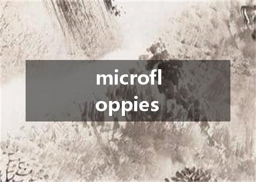 microfloppies是什么意思