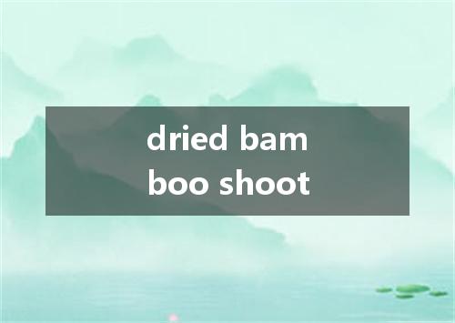 dried bamboo shoot是什么意思